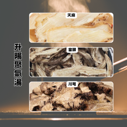 升陽聚氣湯 | 道家食療養生湯膳 | 科學配比+簡單燉煮 - Image 3