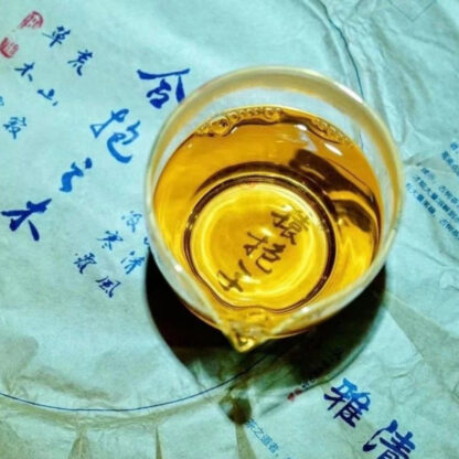 清明春生茶 【合抱之木（貢茶白毛尖）】試飲裝7g - Image 4